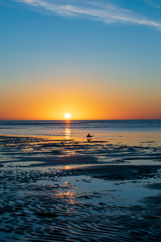 silhouette of person on beach during sunset