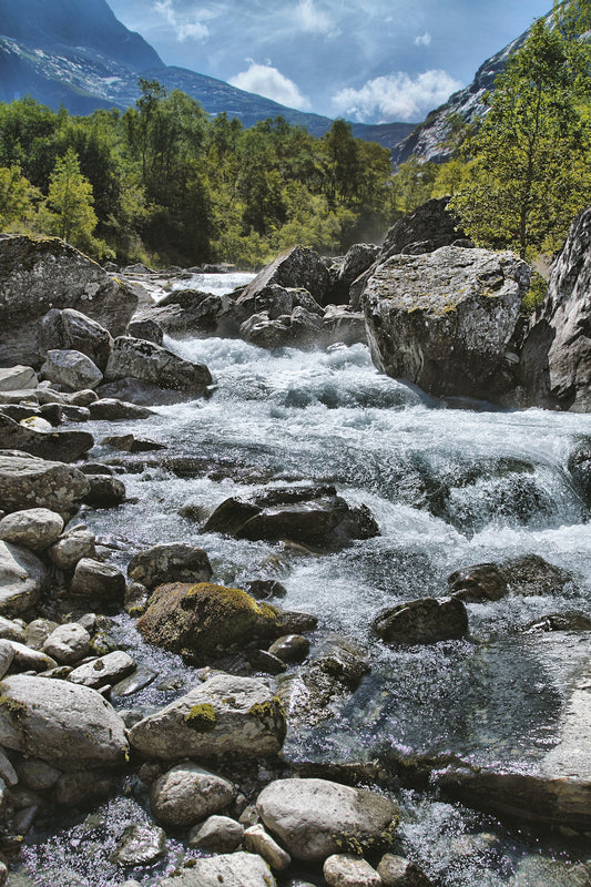a river running through a lush green forest